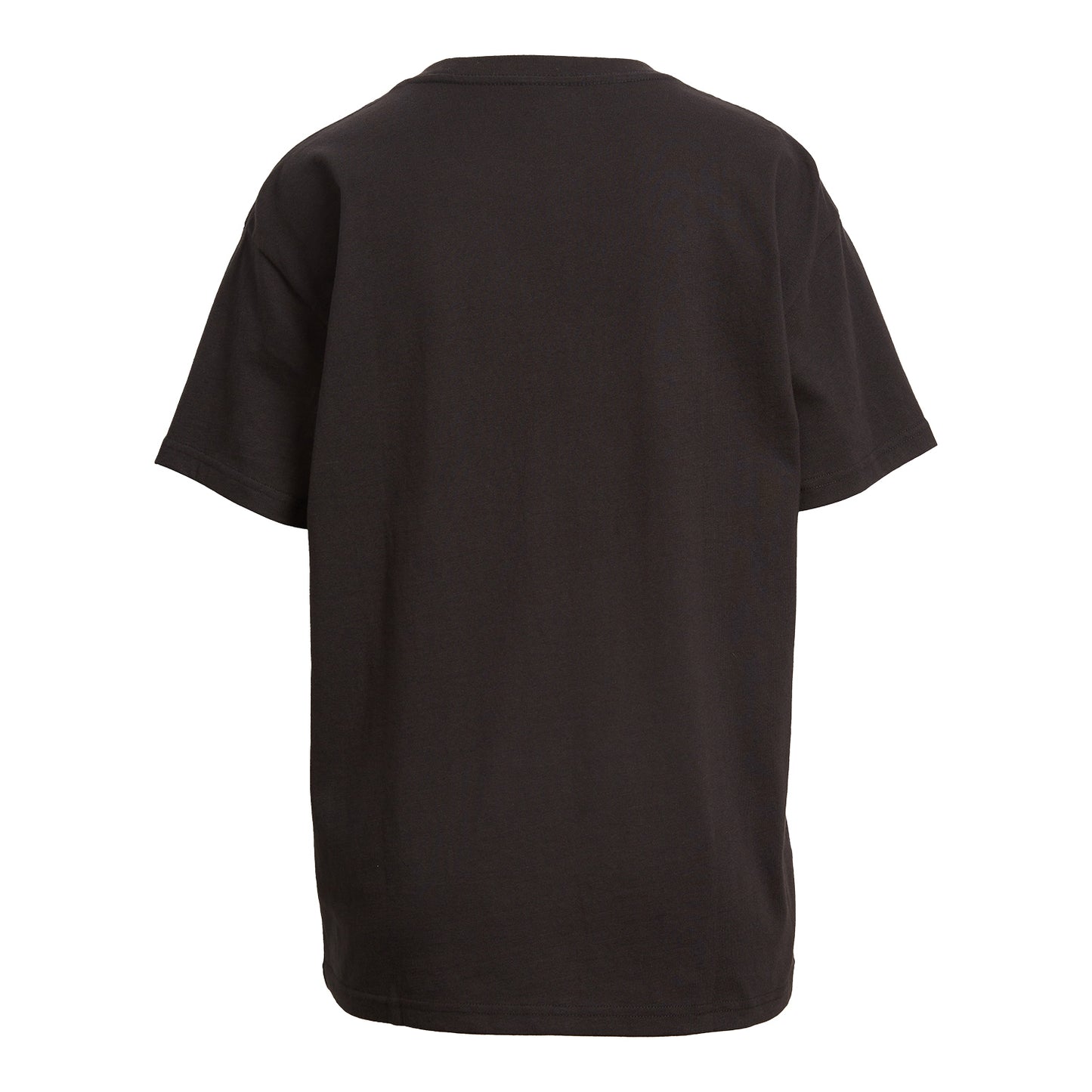 Dolphins Womens Lifestyle T-Shirt