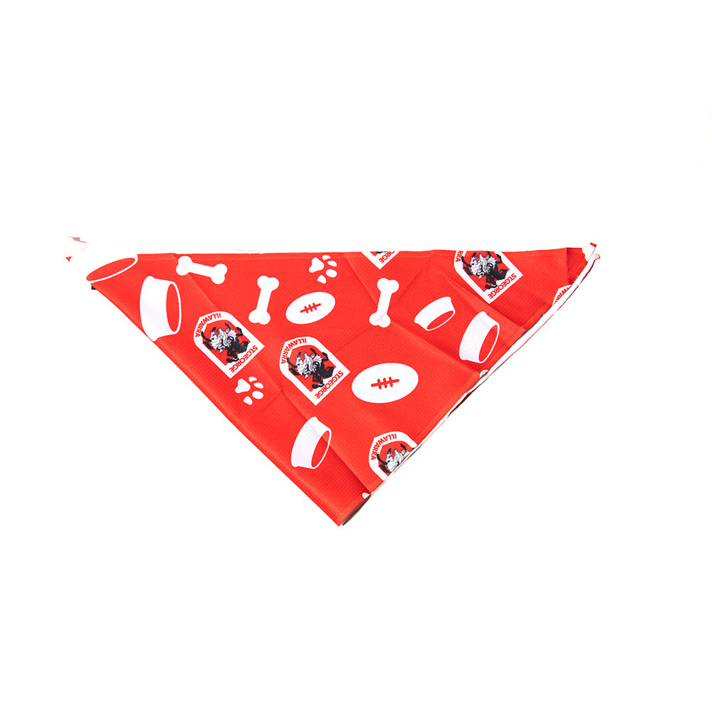 St. George-Illawarra Dragons Pet Bandana