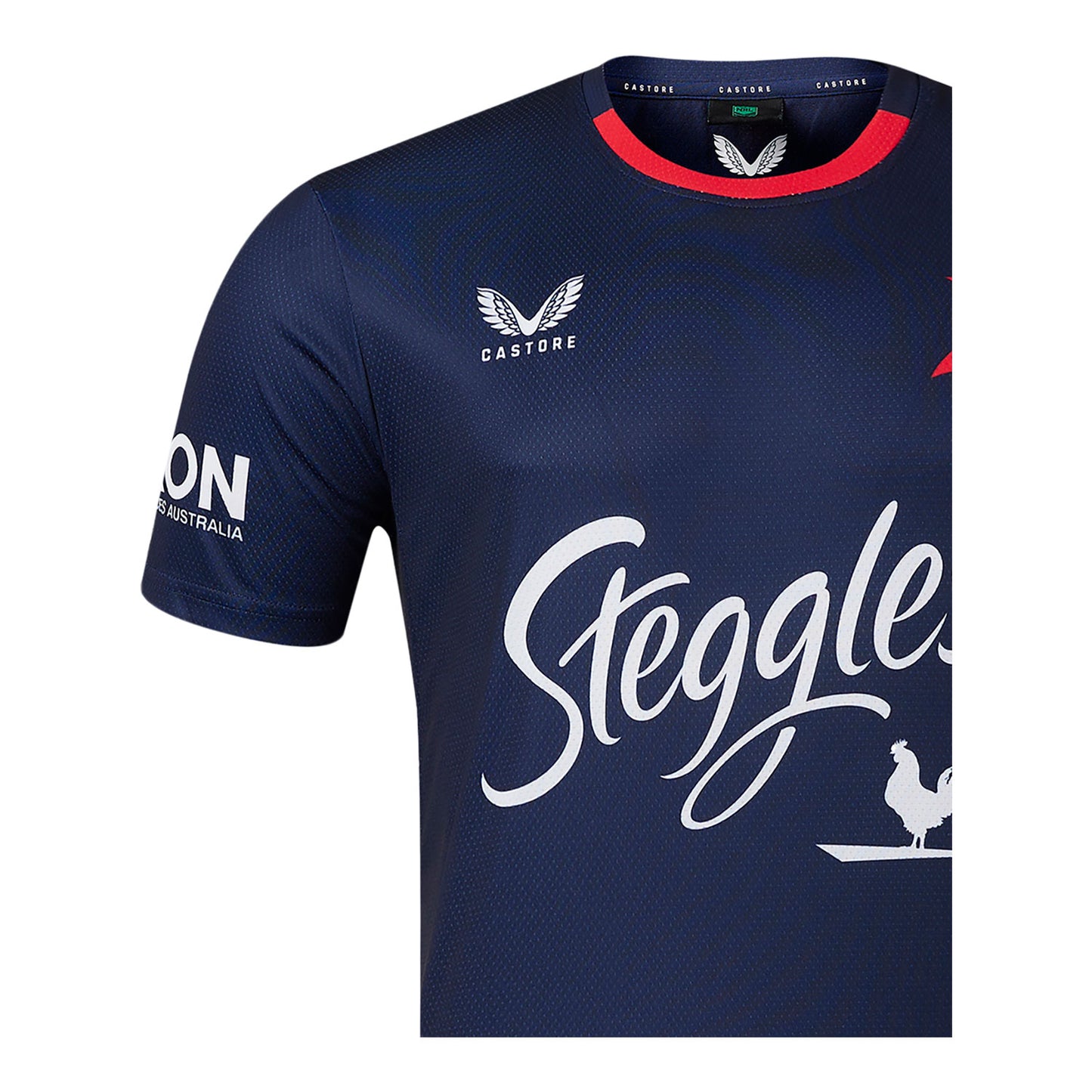 Sydney Roosters 2024 Mens Training Tee