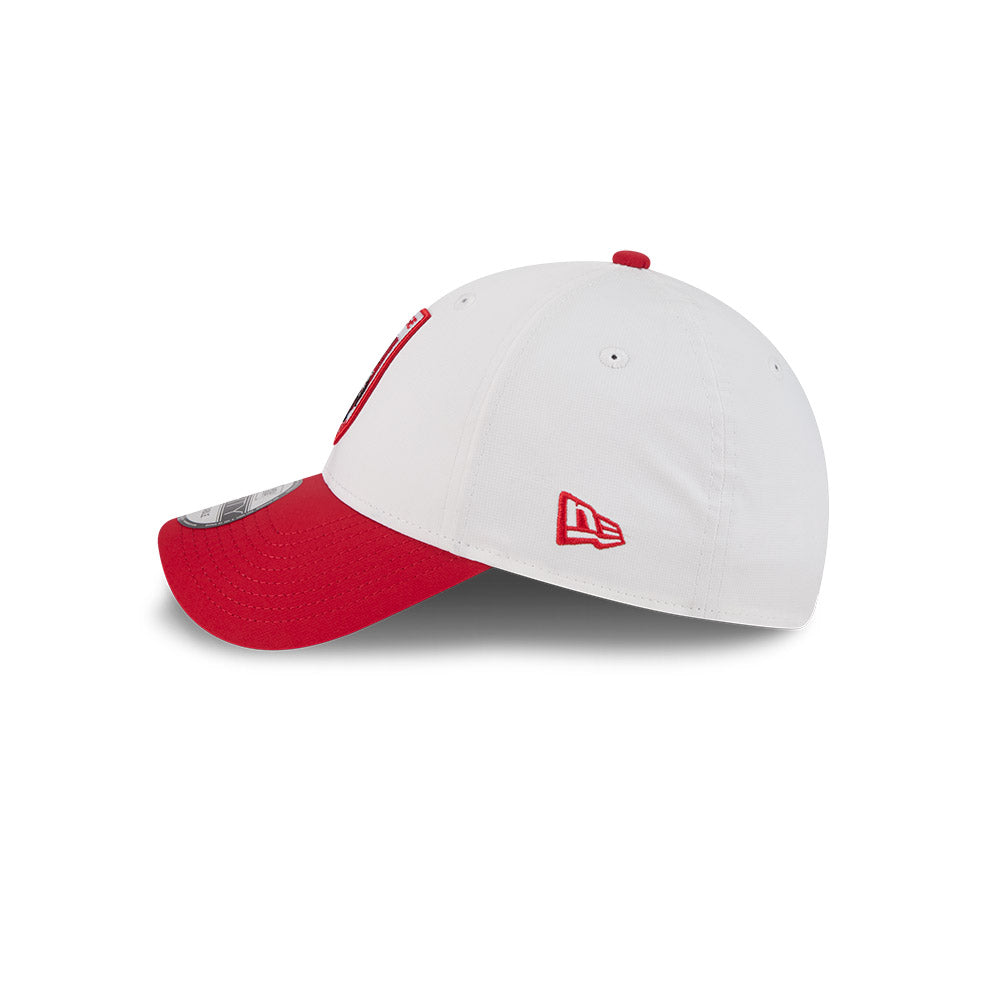 Dragons 2025 Media Cap