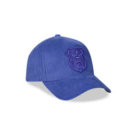 Canterbury-Bankstown Bulldogs 9Forty Chord Tonal