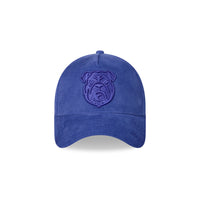 Canterbury-Bankstown Bulldogs 9Forty Chord Tonal