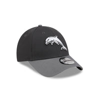 Dolphins New Era 2Tone Monochrome 940 Cap