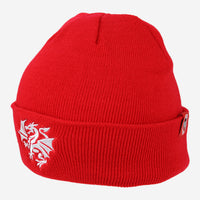 St George Illawarra Dragons Transform Reversible Beanie