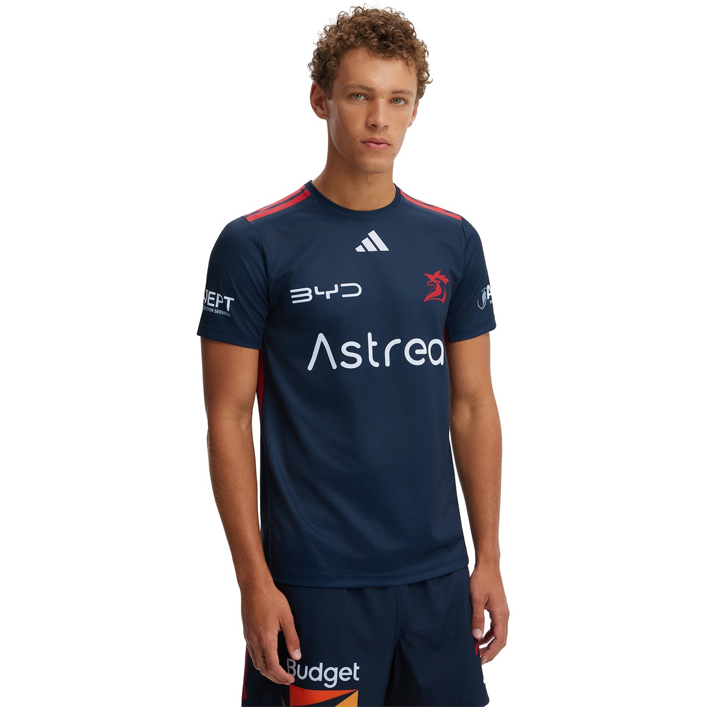 Sydney Roosters Mens 2026 In Season Training T-Shirt