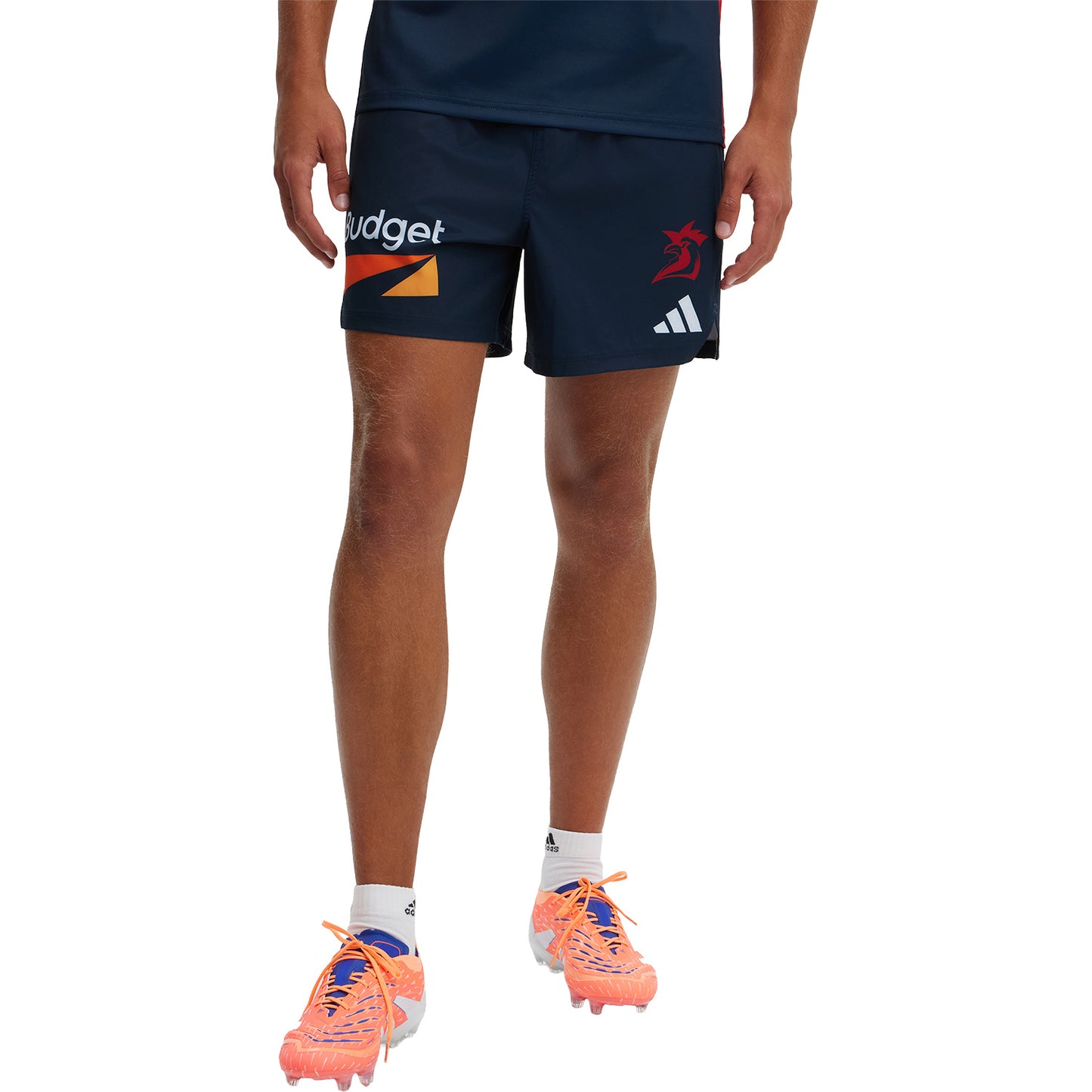 Sydney Roosters Mens 2026 Training Shorts