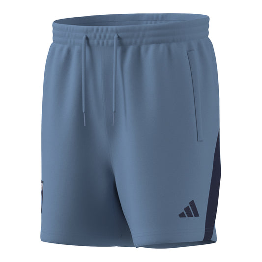 NSW Blues Adult 2026 Shorts Light Blue - View 1