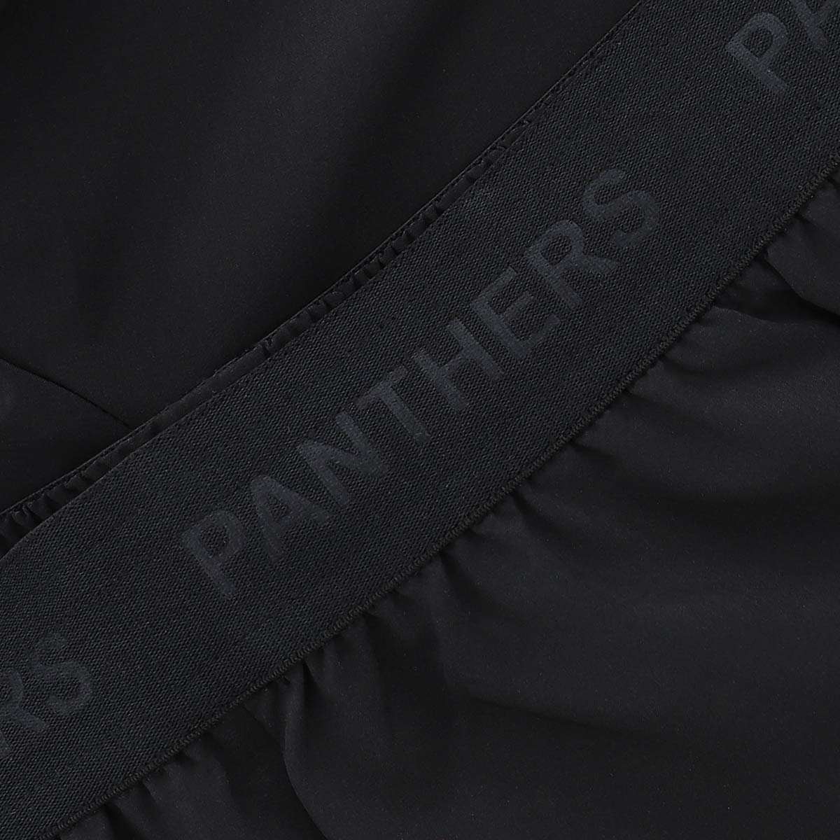 Penrith Panthers Mens 2026 Training Shorts
