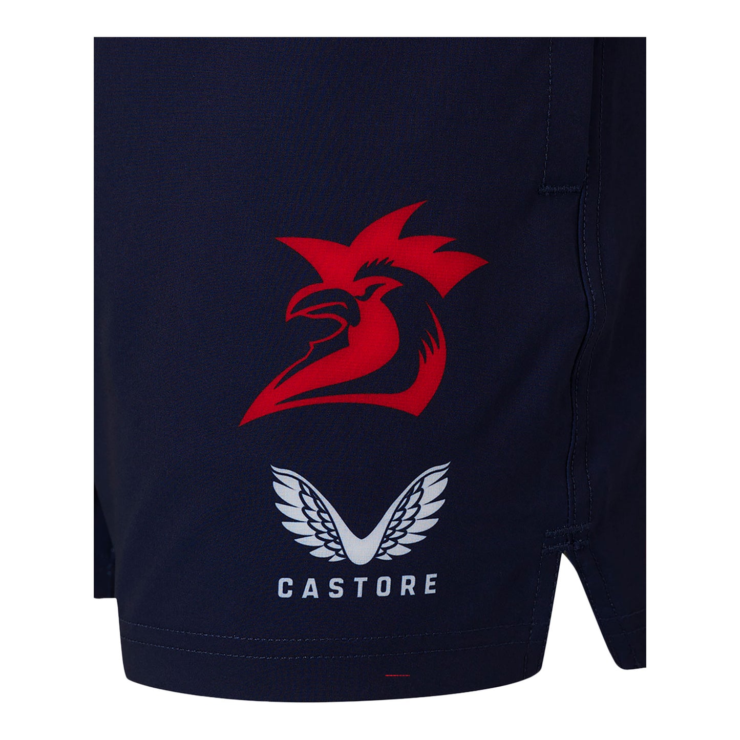 Sydney Roosters 2024 Mens Training Shorts