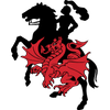 St. George Illawarra Dragons logo